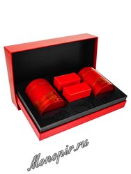 Коробка подарочная в подарочном пакете + 2 банки (красные) + коробки box-006