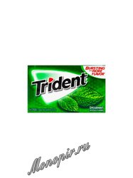 Жевательная резинка Trident Spearmint Мята