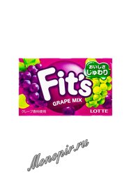 Жевательная резинка Lotte Fits Grape Mix 25 г